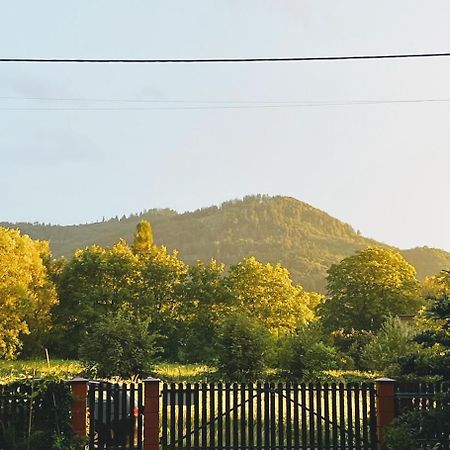 Domek Nad Rzeka - Na Wylacznosc Brenna Extérieur photo
